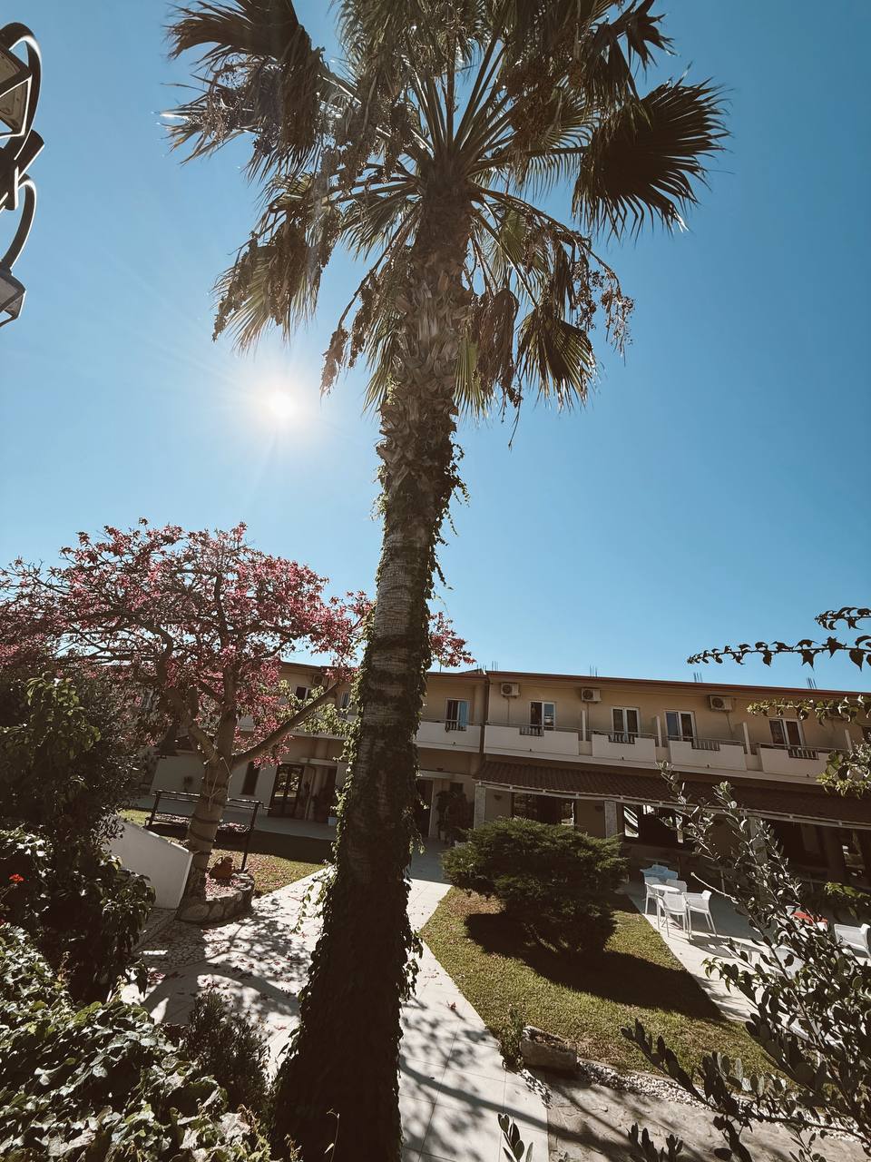 photo 5895224767525096549 y